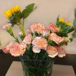 昆明鲜花批发单头康乃馨基地母亲节鲜切花批发20枝/扎
