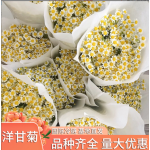 洋甘菊鲜花云南昆明鲜切花批发地摊货花店婚庆用花基地直批