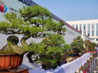 2024第四届中国（西安）林草产业博览会将于8月举办