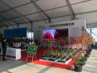 2025第十六届亚洲园林景观产业博览会