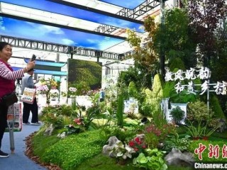 2024年园林展-2024中国国际盆栽植物展览会